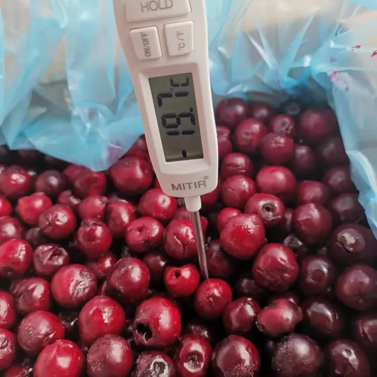 Encontre a Melhor Fruta Congelada para o Seu Negócio e a Solução Acessível Sweetcherry 2