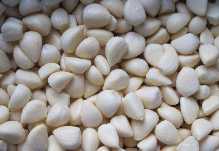 Obtenha os melhores vegetais congelados congelados IQF descascado cravo de alho, bolinhos e purê a preços competitivos 1