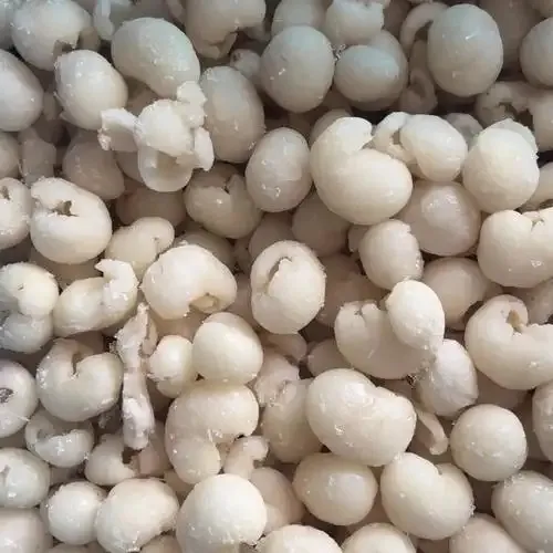 Obter a fruta congelada para o seu negócio Longon acessível e delicioso 2