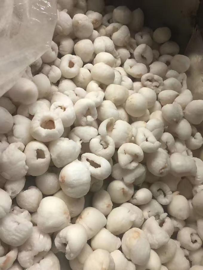 Lichia congelada inteira e descascada em embalagem de caixa a granel IQF Fruta de lichia com sabor doce com variedade de manga de frutas preservadas 3