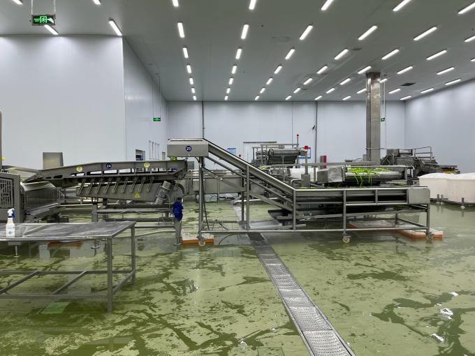 Framboesa fresca congelada de alta qualidade escolhida a dedo para sabor doce para sucos sobremesas batidos 9