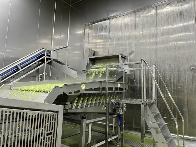 Framboesa fresca congelada de alta qualidade escolhida a dedo para sabor doce para sucos sobremesas batidos 10