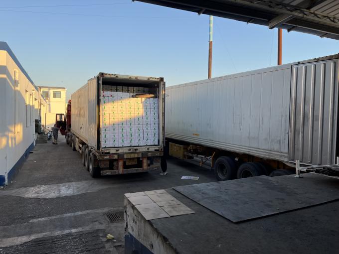 Framboesa fresca congelada de alta qualidade escolhida a dedo para sabor doce para sucos sobremesas batidos 16