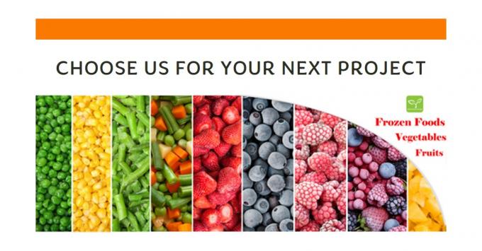 Melhor Qualidade Congelada de Cogumelos Ostra no Atacado Nova Colheita Cortes de Cogumelos Ostra IQF 9