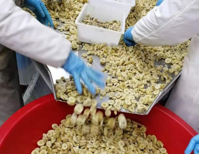 Banana Iqf Congelada da China Produto Quente Fatiada para Exporta&ccedil;&atilde;o Com Alta Qualidade 0