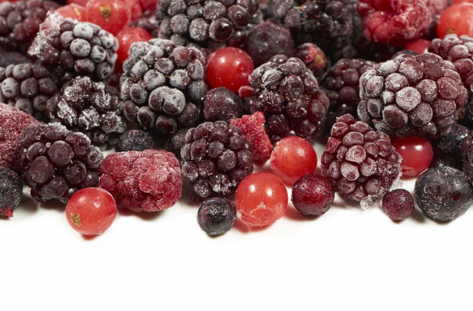 Fresco IQF Frozen Mixed Berries Blackberry Strawberry Framboesa Blueberry em Blackberry Strawberry Berries Estilo 1