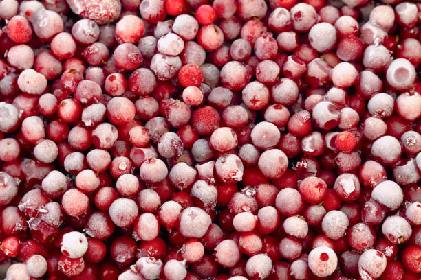 Venda a quente de novas colheitas Iqf congeladas a granel Lingonberry vermelha em frutas congeladas embalagem a granel 2