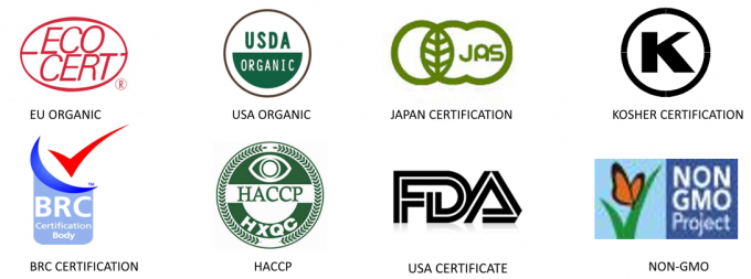 Fabrica&ccedil;&atilde;o Profissional de Qualidade Certificada Tiras de Piment&atilde;o Vermelho Congelado IQF 7