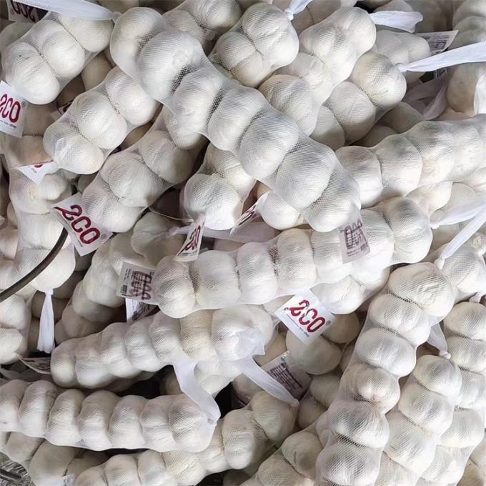 Fresco chinês 4P Alho branco puro Preço barato Vegetais frescos para venda por atacado 4