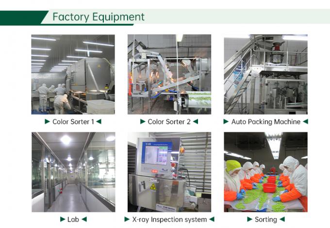 IQF Legumes mistos congelados Legumes mistos frescos 6