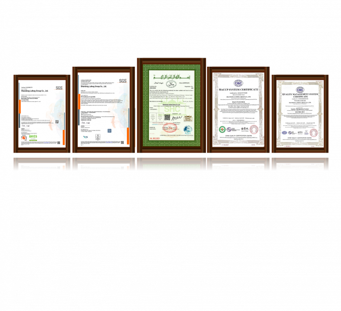 Peito de frango desossado congelado de alta qualidade para exporta&ccedil;&atilde;o pronto em embalagens a granel 3