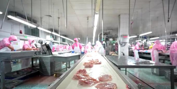 Peito de frango desossado congelado de alta qualidade para exporta&ccedil;&atilde;o pronto em embalagens a granel 6